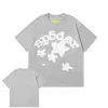 Sp5der BELUGA Grey Tee