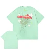 Sp5der STAR OG WEB V2 Green Tee